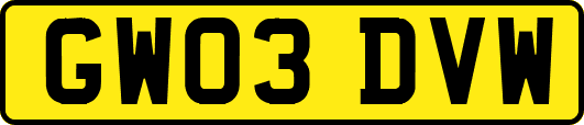 GW03DVW