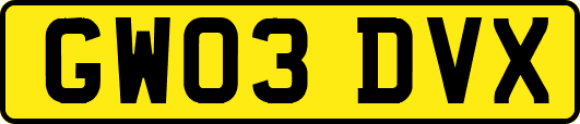 GW03DVX