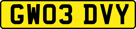 GW03DVY