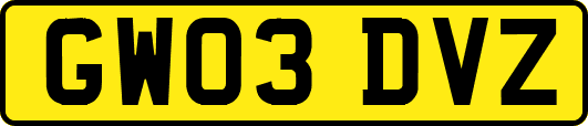GW03DVZ