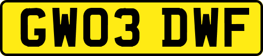 GW03DWF