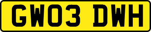 GW03DWH