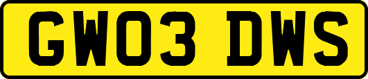 GW03DWS