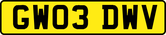 GW03DWV