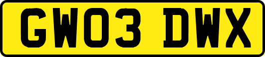 GW03DWX