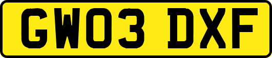GW03DXF