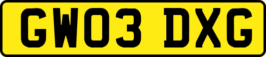 GW03DXG