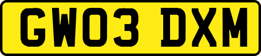 GW03DXM