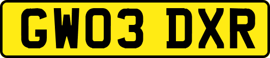 GW03DXR