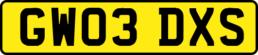 GW03DXS