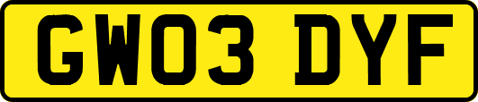GW03DYF