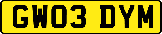GW03DYM