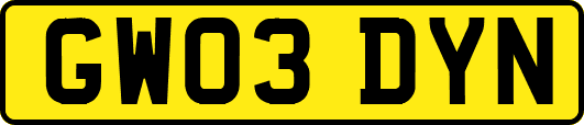 GW03DYN