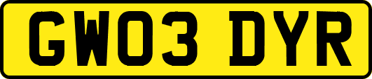 GW03DYR