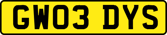 GW03DYS