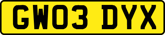 GW03DYX