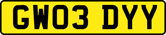 GW03DYY