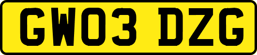 GW03DZG