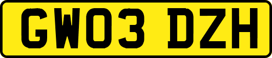 GW03DZH