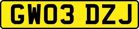 GW03DZJ