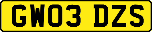 GW03DZS