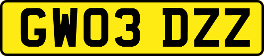 GW03DZZ