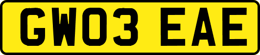 GW03EAE