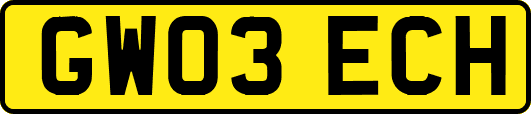 GW03ECH
