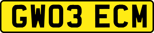 GW03ECM