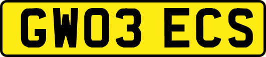 GW03ECS