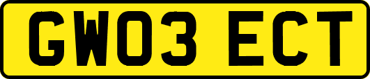 GW03ECT