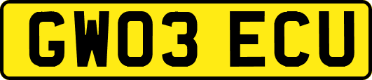 GW03ECU