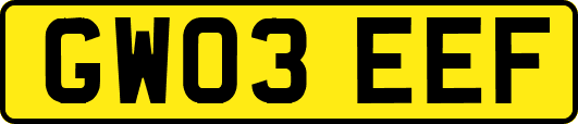 GW03EEF