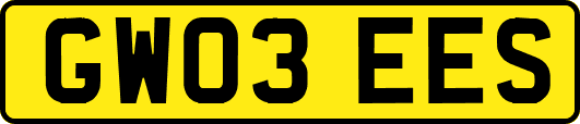 GW03EES