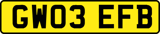 GW03EFB