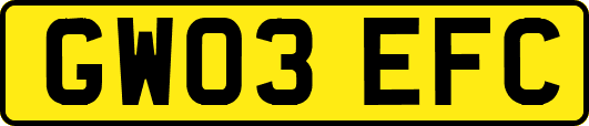 GW03EFC