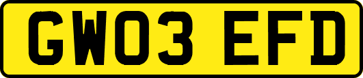 GW03EFD