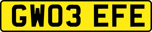 GW03EFE