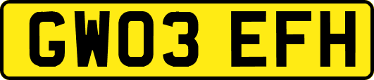 GW03EFH