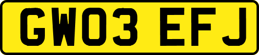 GW03EFJ