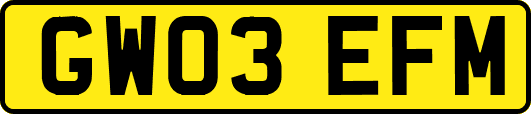 GW03EFM