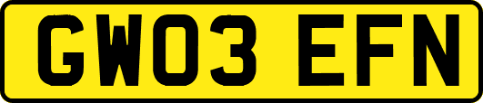 GW03EFN
