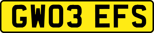 GW03EFS