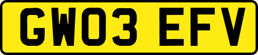 GW03EFV