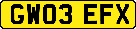 GW03EFX