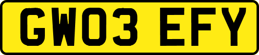 GW03EFY