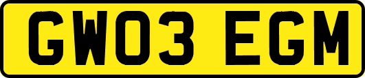 GW03EGM