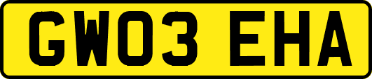 GW03EHA