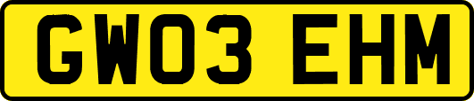 GW03EHM