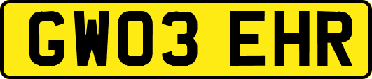 GW03EHR
